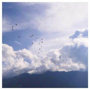 欧美高清色情电影黑白配HD播放
